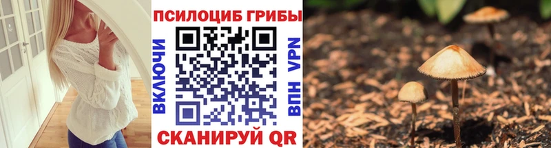 Галлюциногенные грибы прущие грибы  Рыбинск 